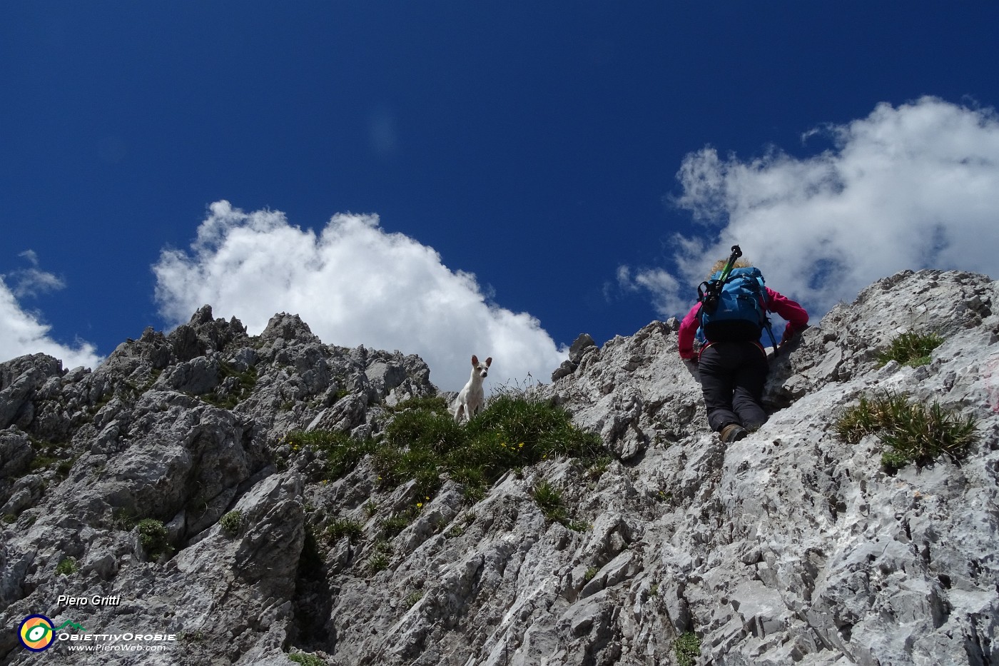 45 Ed ora salita su rocce e roccette  con uso mani ed attenzione .JPG